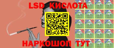 сатива Будённовск
