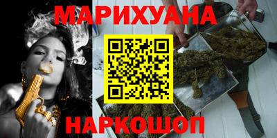 сатива Будённовск